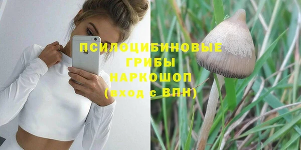 мяу мяу мука Михайловск