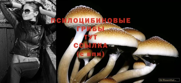 Альфа ПВП Медвежьегорск
