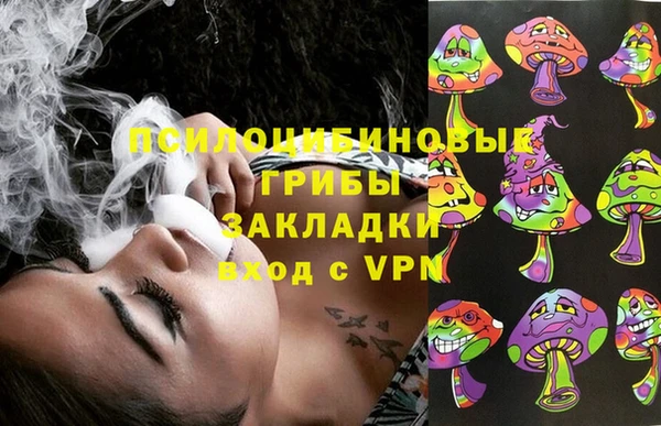 Альфа ПВП Медвежьегорск