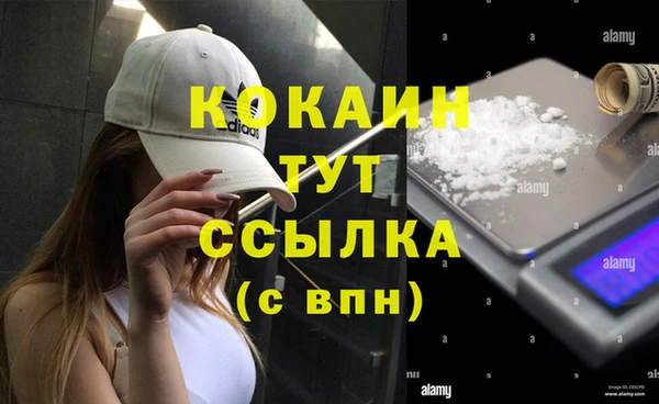 дмт Михайлов