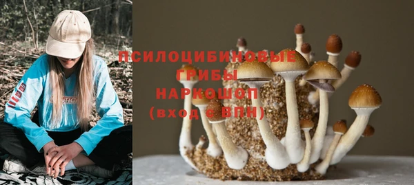 дмт Михайлов