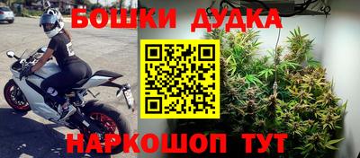 ГАЛЛЮЦИНОГЕННЫЕ ГРИБЫ Апшеронск