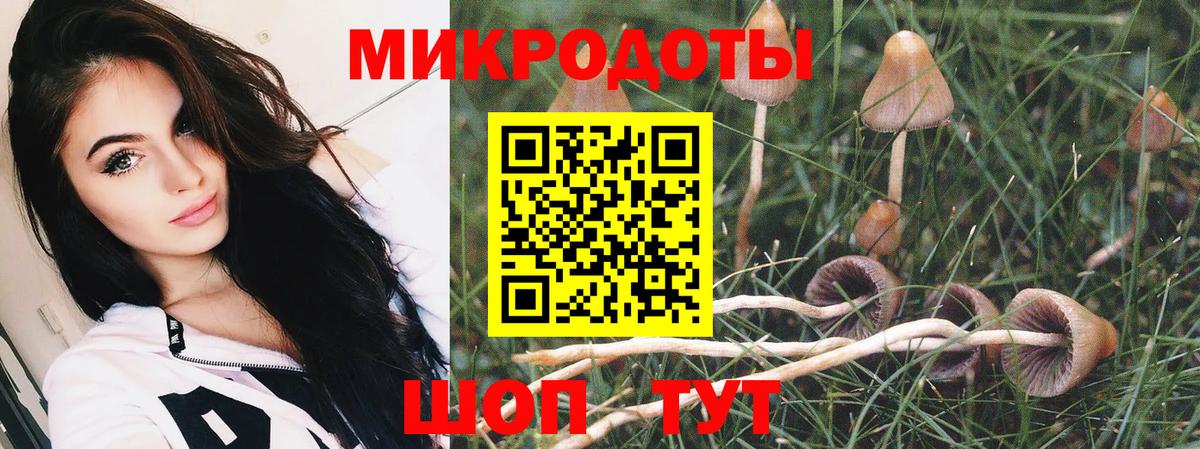 Галлюциногенные грибы Magic Shrooms Омск