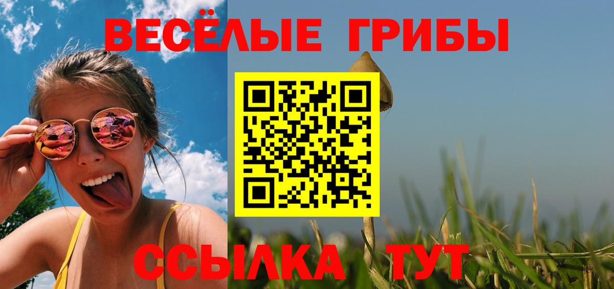 Псилоцибиновые грибы GOLDEN TEACHER  Вход с VPN  Омск 